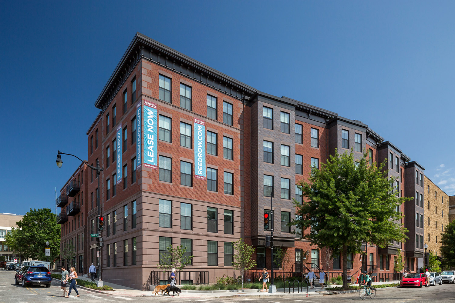 Reed Row-9296Rt