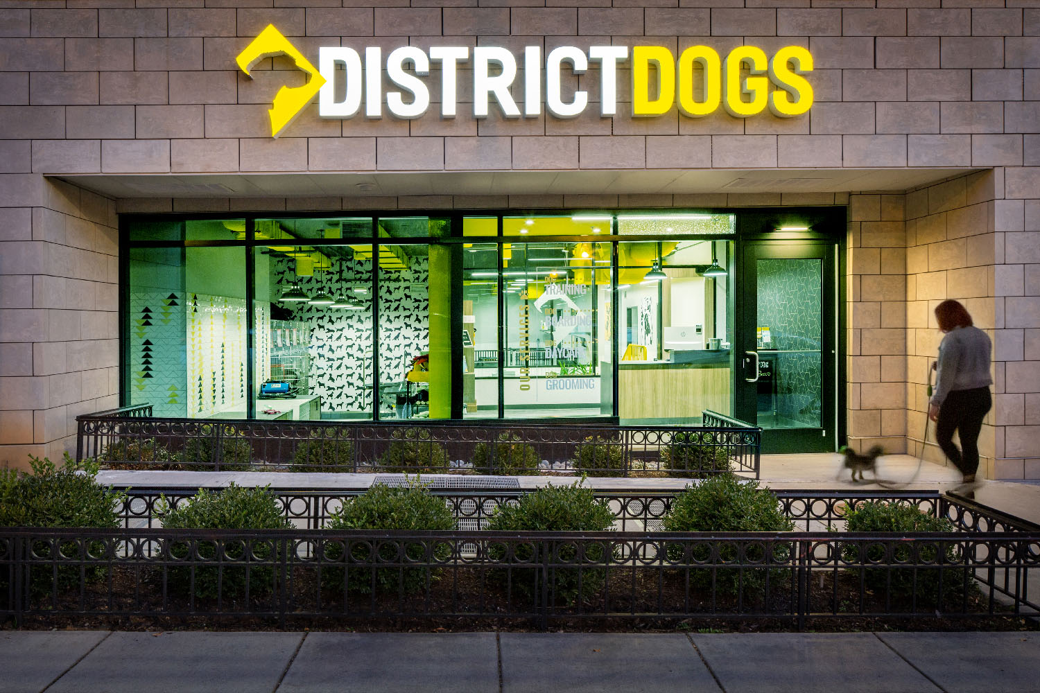 Distric Dogs-2793Rt